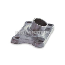 Tilted intake manifold Ø 21x24