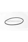 Malossi O-RING 117,1x124,16x3,53 mm for CYL-HEAD