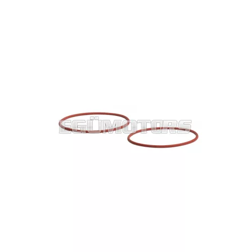 2 O-RING Ø 39x1,5 mm