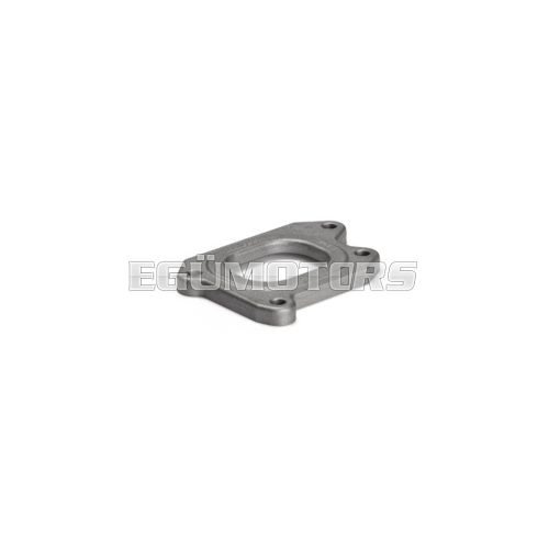 FLANGE for INTAKE MANIFOLDS