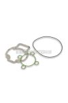 Malossi COMPL. CYL.KIT GASKET SET 47 (O-RING)
