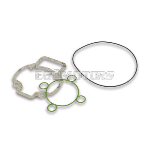 Malossi COMPL. CYL.KIT GASKET SET 47 (O-RING)