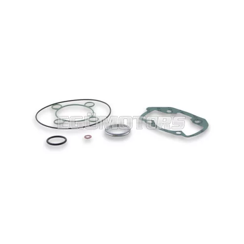 Malossi COMPL. CYL.KIT GASKET SET 40-47,6 H2O