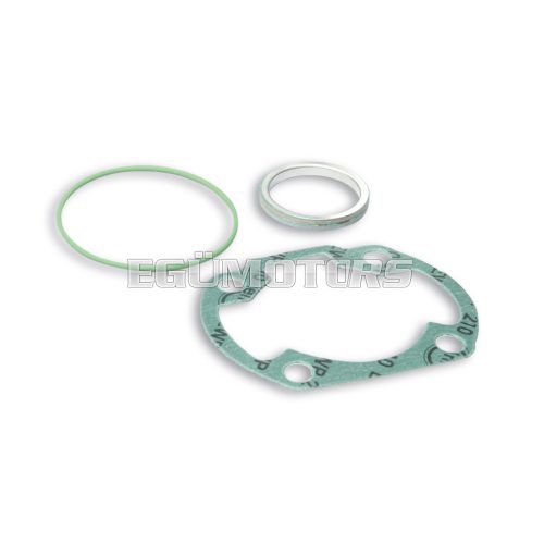Malossi COMPL. CYL.KIT GASKET SET 47 (MULT-THICK.- O-RING)