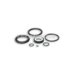 Complete gasket set for RS24/10/10-R shock absorbers