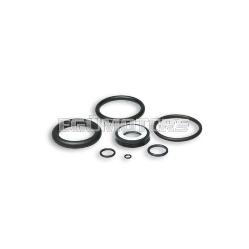 Complete gasket set for RS24/10/10-R shock absorbers