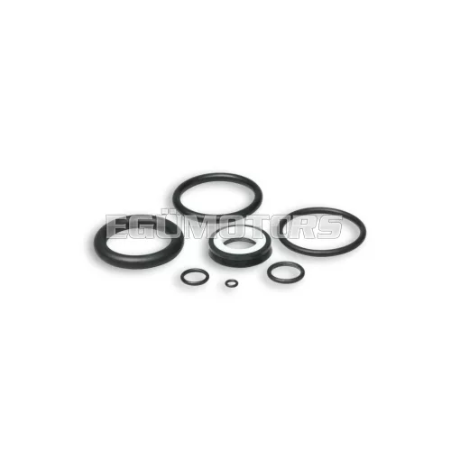Complete gasket set for RS24/10/10-R shock absorbers
