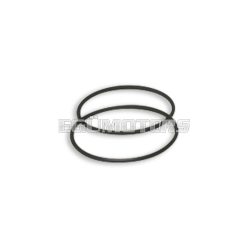 Malossi EXHAUST CONNECTION GASKET SET
