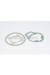 Malossi COMPL. CYL.KIT GASKET SET 40-47-47,6 H2O (PIAGGIO)