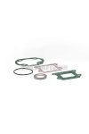 Malossi COMPL. CYL.KIT GASKET SET 40-47