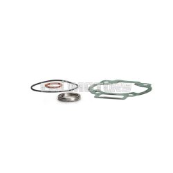 Malossi COMPL. CYL.KIT GASKET SET 65 (O-RING)