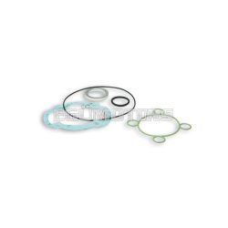 Malossi COMPL. CYL.KIT GASKET SET 40-47 H2O