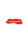 Malossi RED SPONGE for original filter