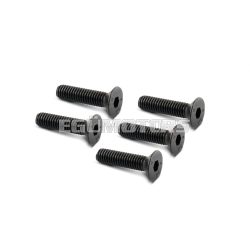 Malossi 5 SCREWS TSCE M 6x25 (UNI 5933)