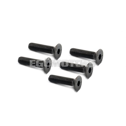 Malossi 5 SCREWS TSCE M 6x25 (UNI 5933)