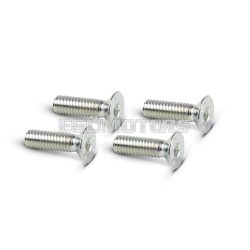 4 TSCE M 4x14 screws