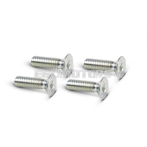 4 TSCE M 4x14 screws