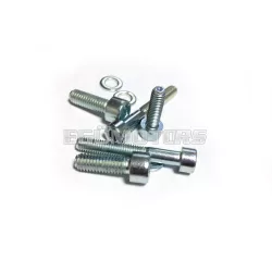 Malossi COMPL. BOLTS for ELECTRONIC IGNITION INT.ROTOR