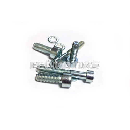 Malossi COMPL. BOLTS for ELECTRONIC IGNITION INT.ROTOR