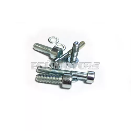 Malossi COMPL. BOLTS for ELECTRONIC IGNITION INT.ROTOR