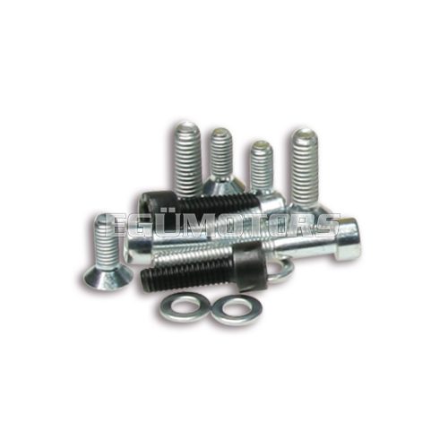 Malossi COMPL. BOLT for INNER ROTOR IGNITION PIAGGIO H2O