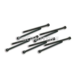 Malossi 10 PIVOT SCREWS for VARIATOR LEVER