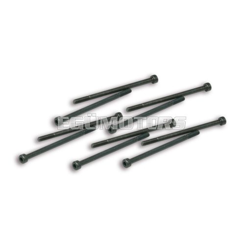 Malossi 10 PIVOT SCREWS for VARIATOR LEVER