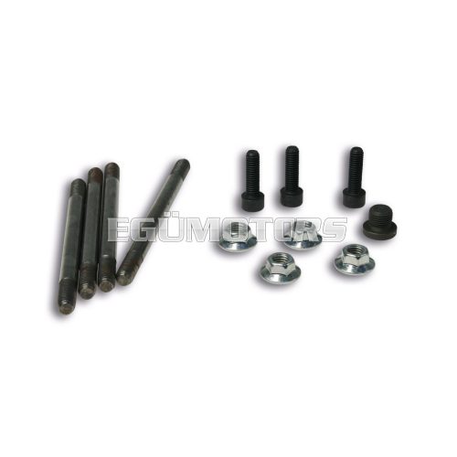 Malossi STUDS/NUT KIT for MODUL. CYL-HEAD 40,3