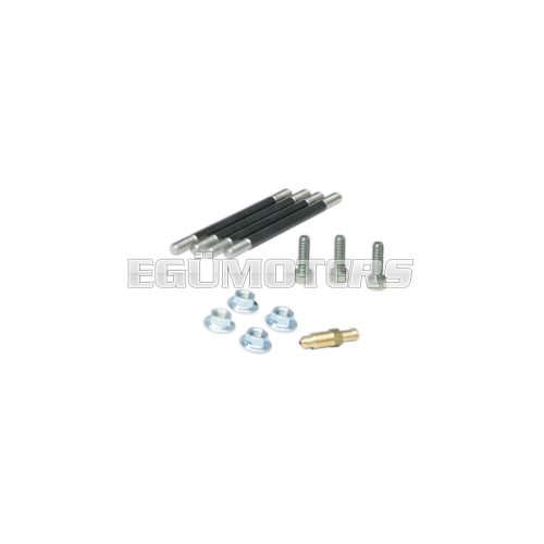 Malossi BOLT KIT with BLEED HOLDER