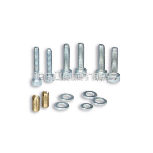 Malossi SCREW KIT for reed CARB. KIT VESPA PX-T5