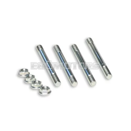 Malossi STUDS/NUT KIT for MODUL. CYL-HEAD 47,6