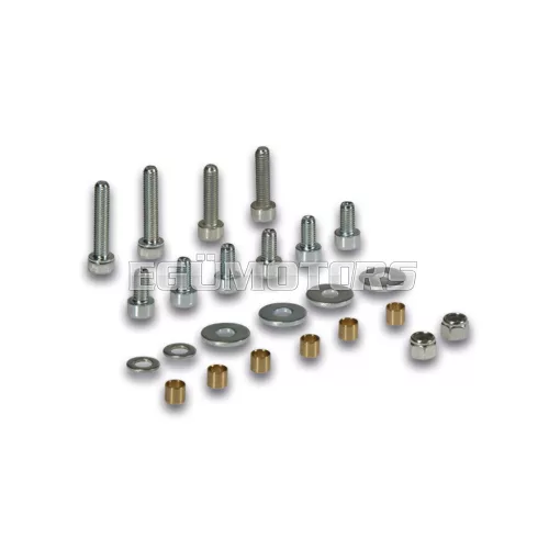 Malossi COMPL. BOLTS for POWER for PIAGGIO motorcycles