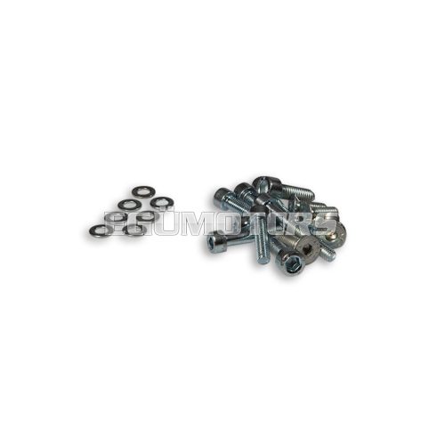 Malossi COMPL. BOLT for INNER ROTOR IGNITION PIAGGIO H2O