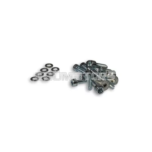 Malossi COMPL. BOLT for INNER ROTOR IGNITION PIAGGIO H2O