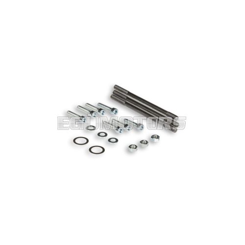 Malossi BOLT KIT for MP-ONE CRANKCASE