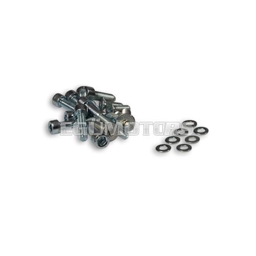 Malossi COMPL. BOLTS for ELECTRONIC IGNITION INT.ROTOR Moto 50