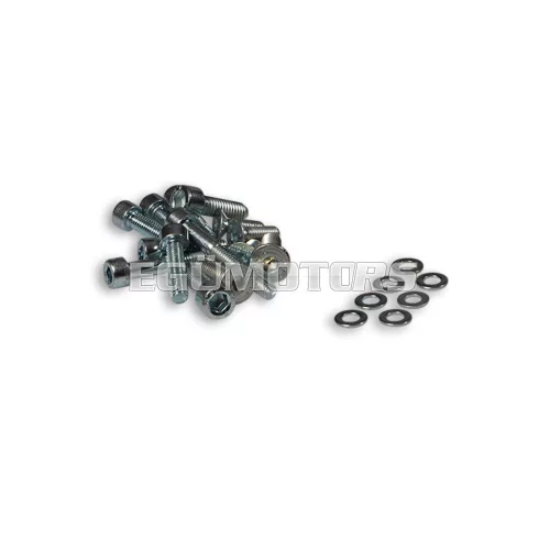Malossi COMPL. BOLTS for ELECTRONIC IGNITION INT.ROTOR Moto 50