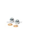 Malossi SCREW KIT and OIL UNLOAD GASKET