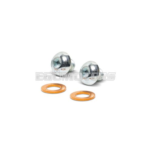 Malossi SCREW KIT and OIL UNLOAD GASKET