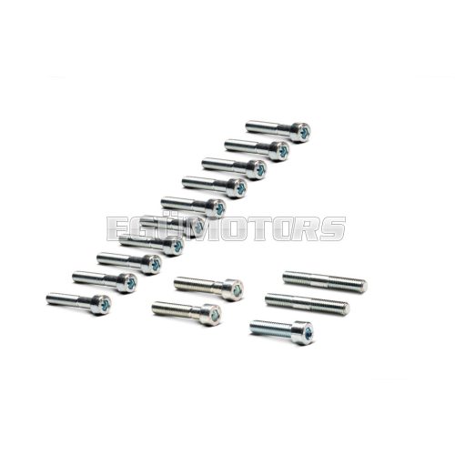 Malossi SCREW KIT for reed for CRANKCASE