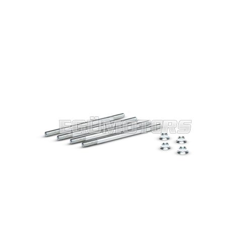 Malossi STUDS/NUT KIT