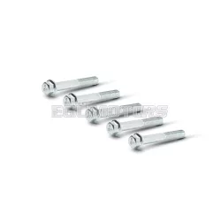   TEF 6X40 5 screws kit for Malossi and Piaggio scooter 50 cc gears crankcase