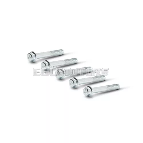 TEF 6X40 5 screws kit for Malossi and Piaggio scooter 50 cc gears crankcase