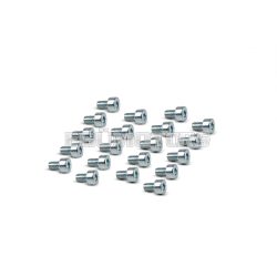 Malossi 20 SCREWS TCCE M 4x6