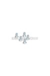Malossi 5 SCREWS TSCE M 6x16