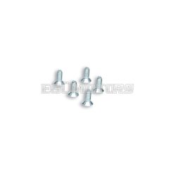 Malossi 5 SCREWS TSCE M 6x16