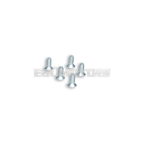 Malossi 5 SCREWS TSCE M 6x16