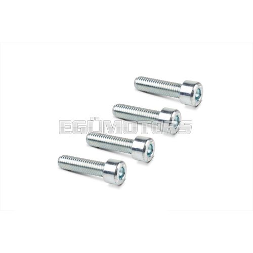 Malossi 4 SCREWS TCCE M 8x30