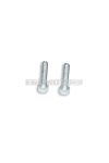 Malossi 2 SCREWS TCCE M 6x25