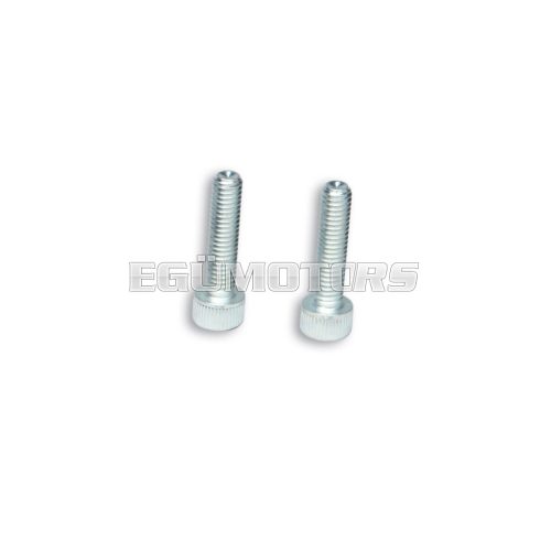 Malossi 2 SCREWS TCCE M 6x25